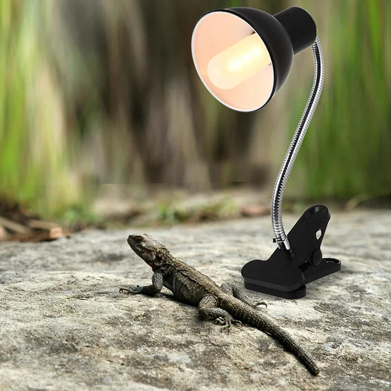 Reptile Heated Hose… - image