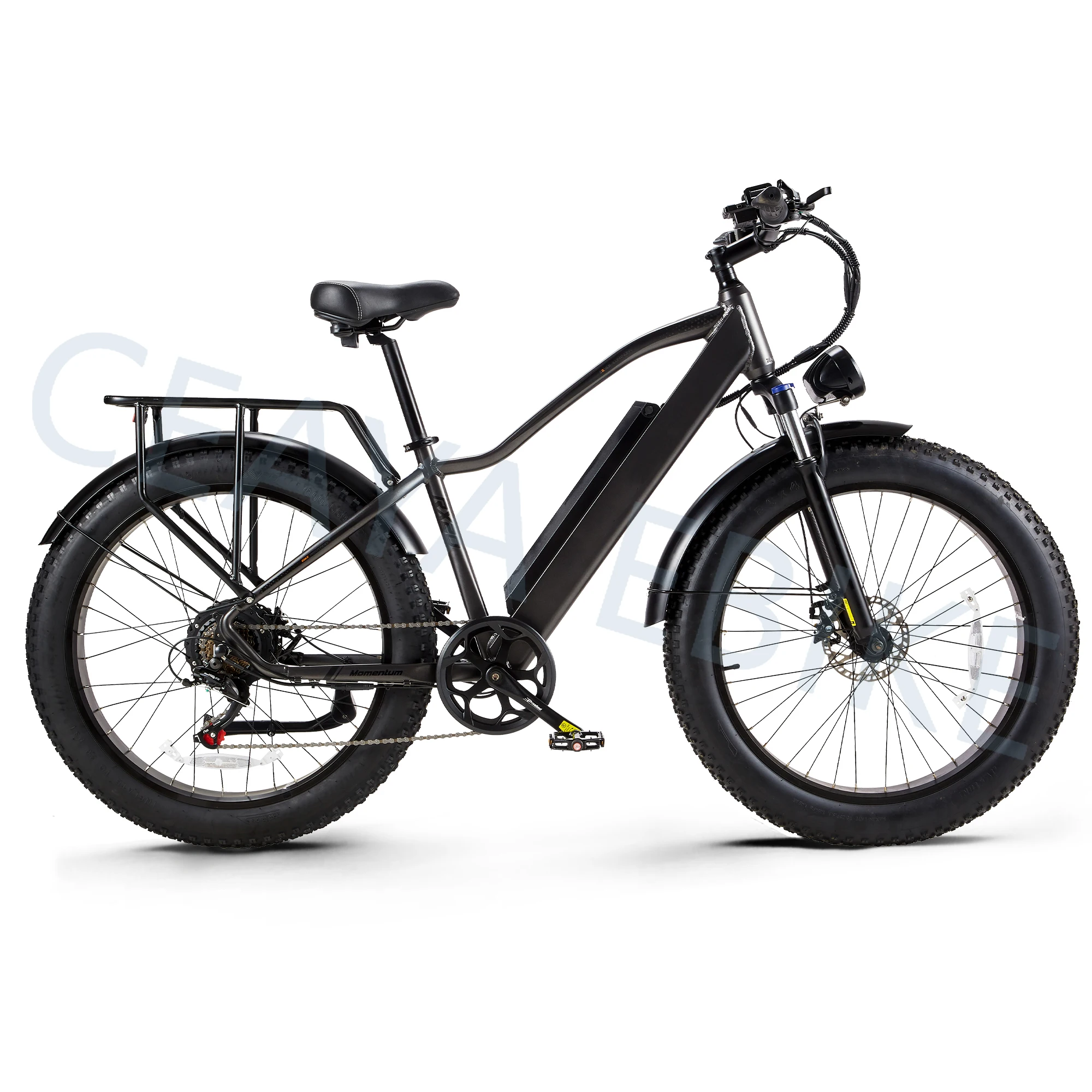 RX20 Electric Bike 26*4.0 Fat tIre Ebike 48V/20A Removable Battery Adults E-mountainbike Urban Commute E-Bike Men & Women