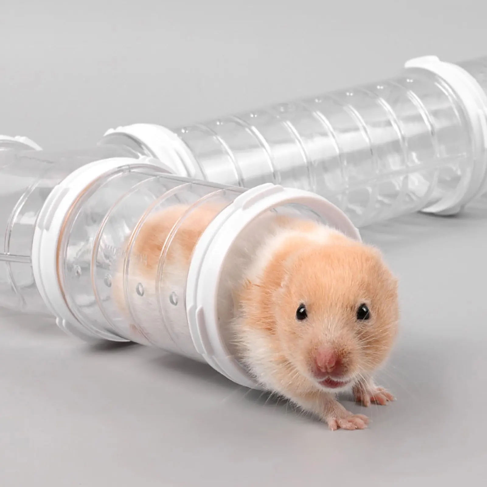 Pet Hamster Transparent Runway Toy Set Pigs Hedgehog Tunnel Playing Tools Solid Color Small Pets Animal Cage Accessories