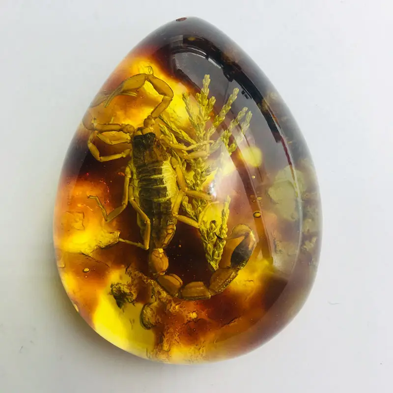 Cantharias drop shape scorpion butterfly bee insect amber pendant