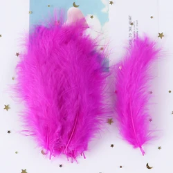 50Pcs Natural Turkey Marabou feathers Multicolors Fluffy Marabou Feather for Party Costume Jewelry Making Decoration plumas