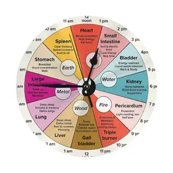 Chinese 24 Hour Organ Wall Clock Room Decoration Clock Must-have Ornament Round