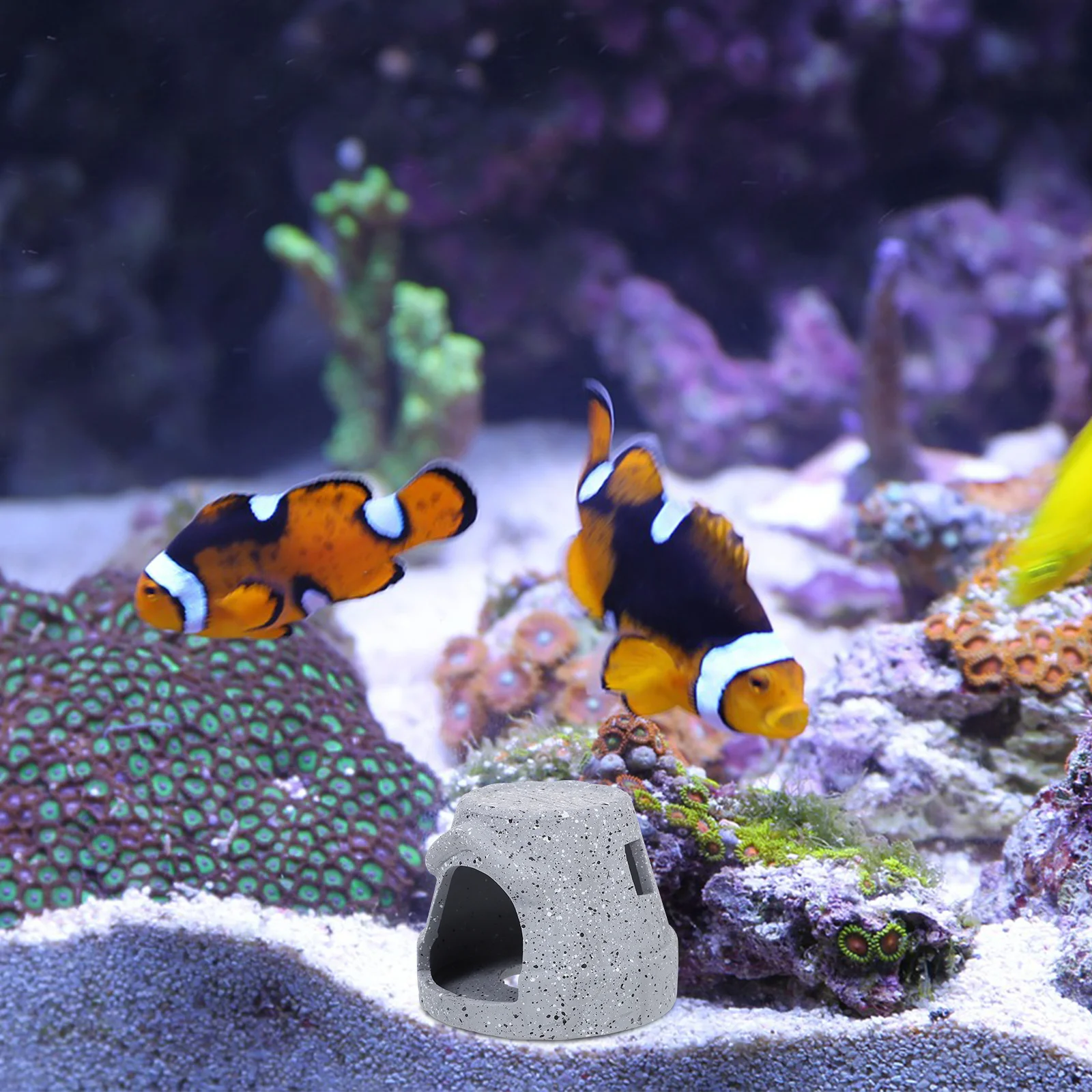 

Aquarium Hideout Cave Shrimp Fish Breeding Durable Fish Tank Ornament Landscaping Aquarium Decor Landscaping Adornments