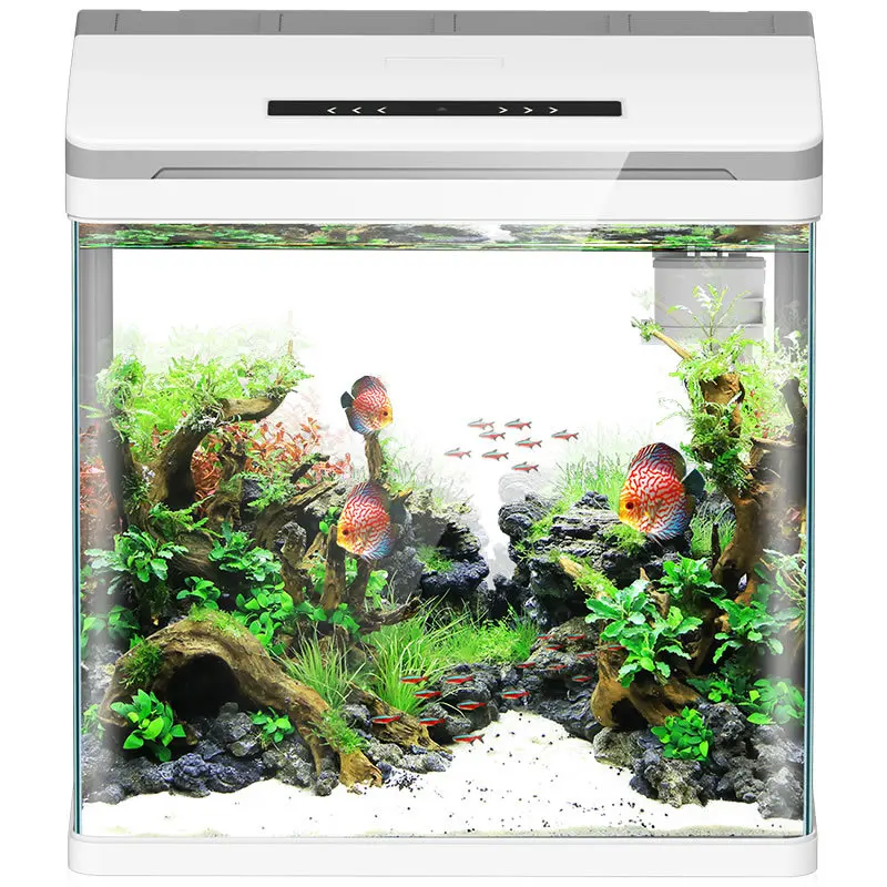 series acrylic desktop multi-shape custom Intelligent fish tank acrylic multifunctional desktop fish pond