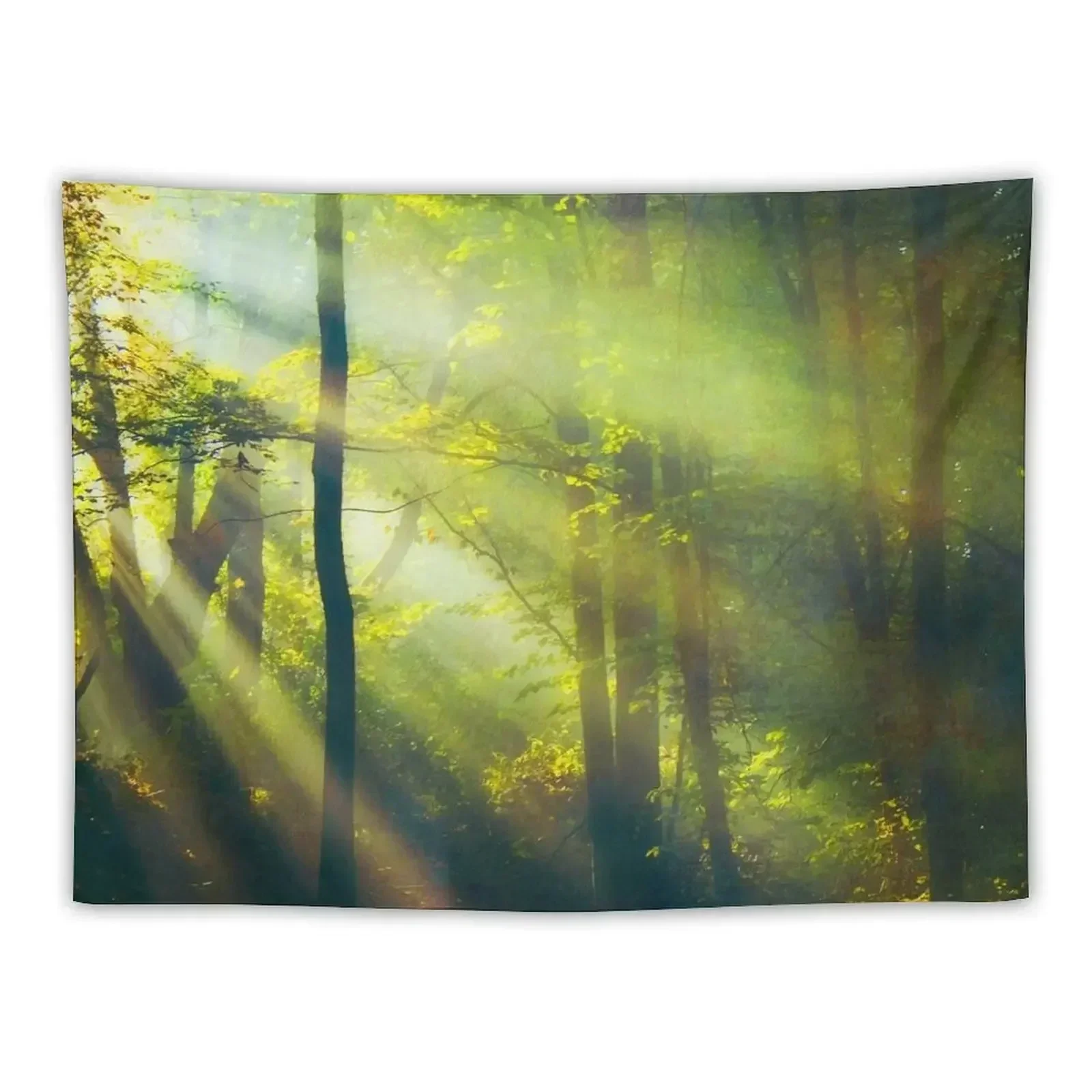 Sun Rays in Forest Tapestry Home Supplies Room Ornaments Tapestry