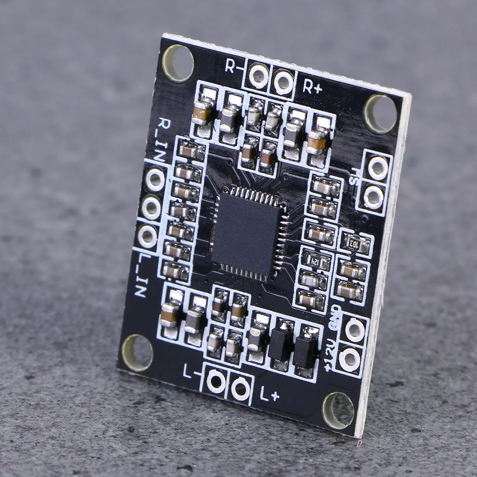 Pam8610 Dual Channe…