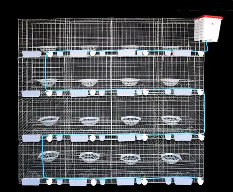 Jaula para palomas grande de diseño moderno con nervios a la venta en Filipinas