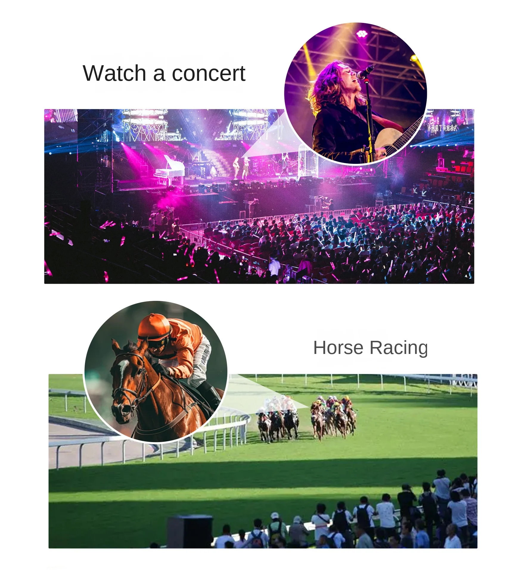 Telescopio de binoculares para exteriores 10X50/12X50 con embalaje de marca de prisma Bak4 compatible