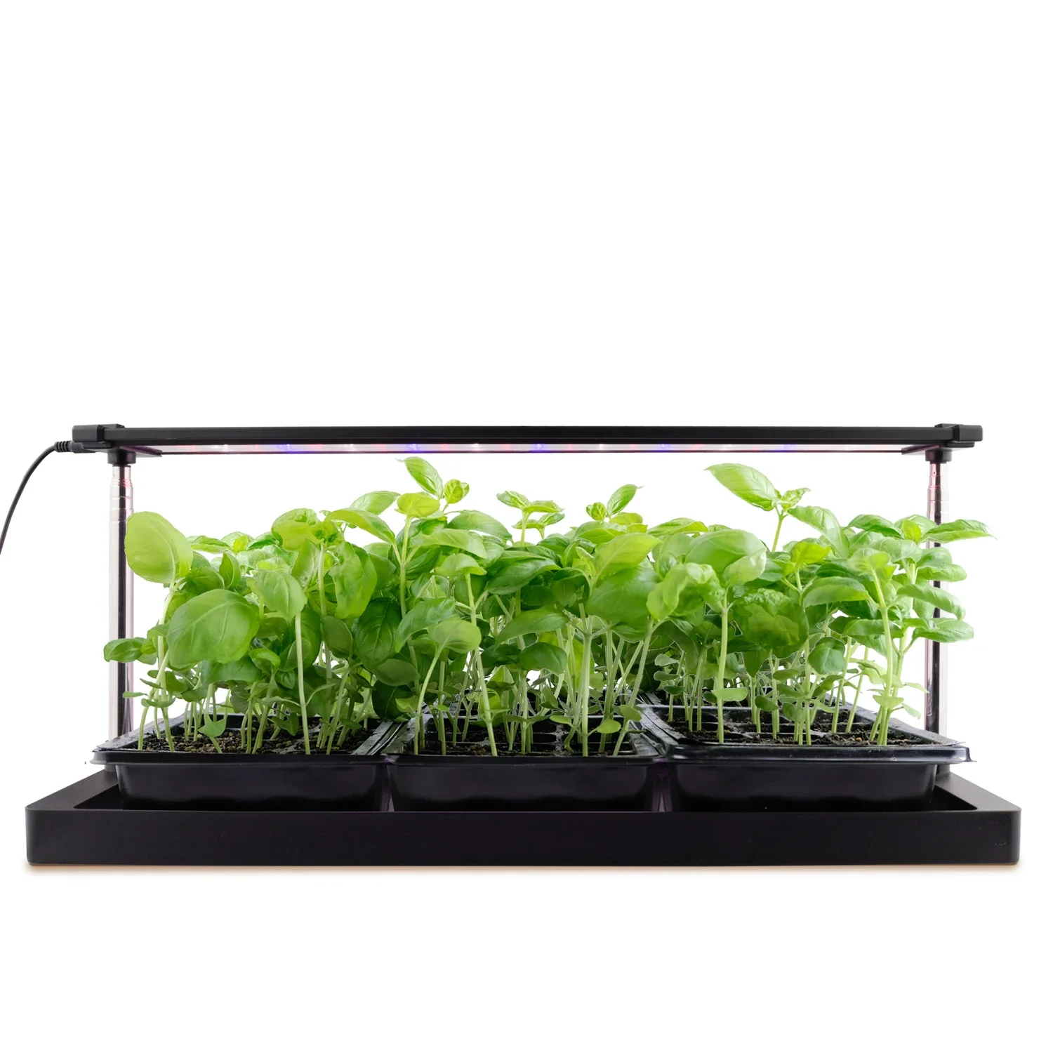 2026 Full Spectrum Seedling Grow Light Indoor 24W Veg and Bloom Light Countertop Growing Systems