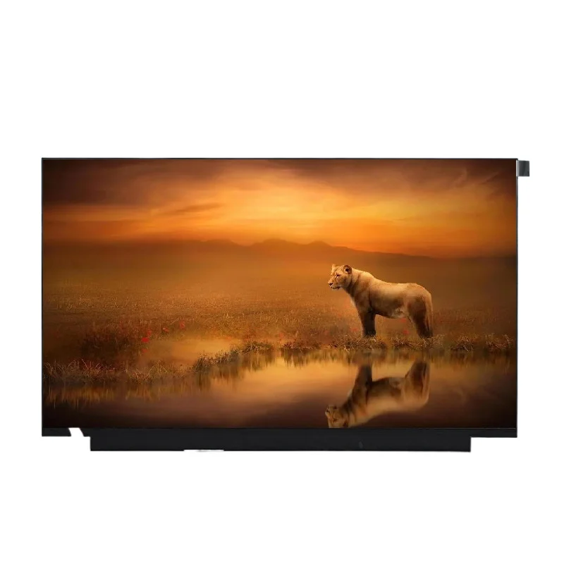 15.6 Inch Touch Scr…