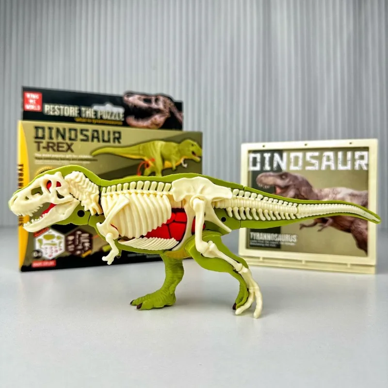 DIY zmontowane anatomiczne dinozaury zabawki dla dzieci montaż dla dzieci zwierząt kolekcjonerska zabawka dinozaura Model naukowy zestaw edukacyjny