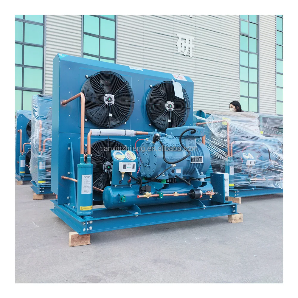 Commercial Piston Condensing Unit Air Cooled Refrigeration System for Cold Storage and Freezer Rooms