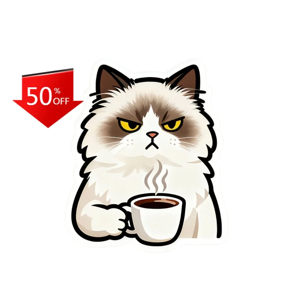 

A Serious Ragdoll Cat Aesthetic Car Laptop Window Bumper Waterproof Vinyl Decal Decoration Retro Vintage Aesthetic Aesthetic