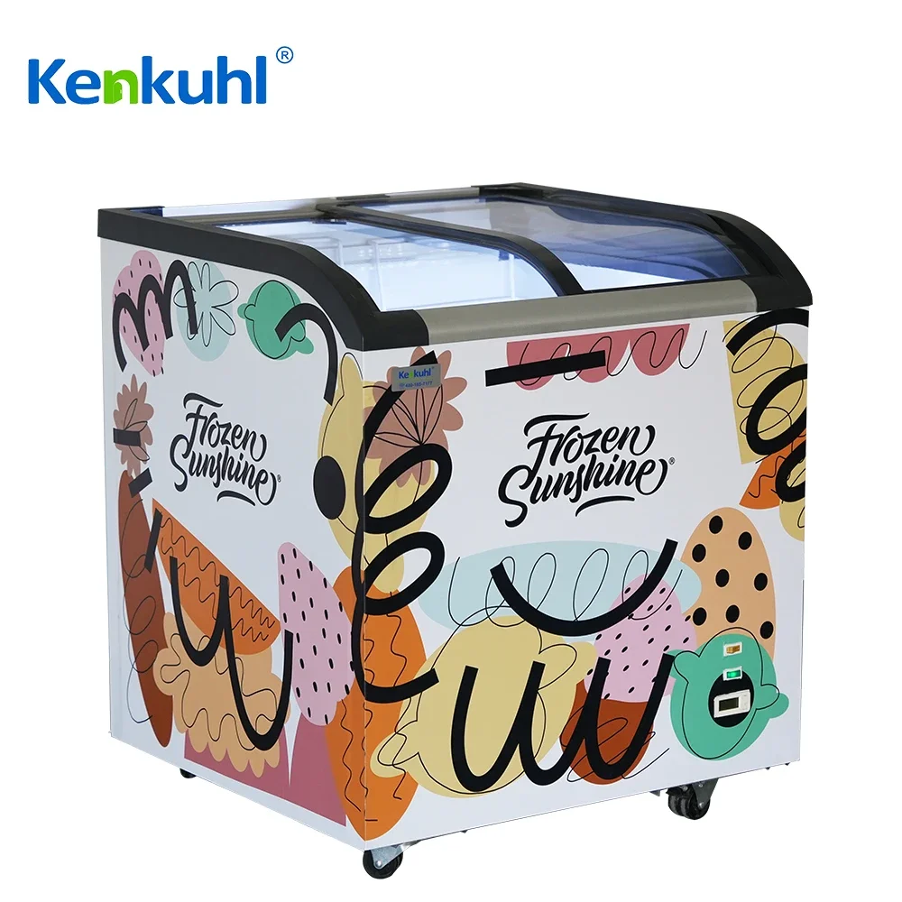 Premium Ice Cream Freezer Stylish Single Curved Glass Design