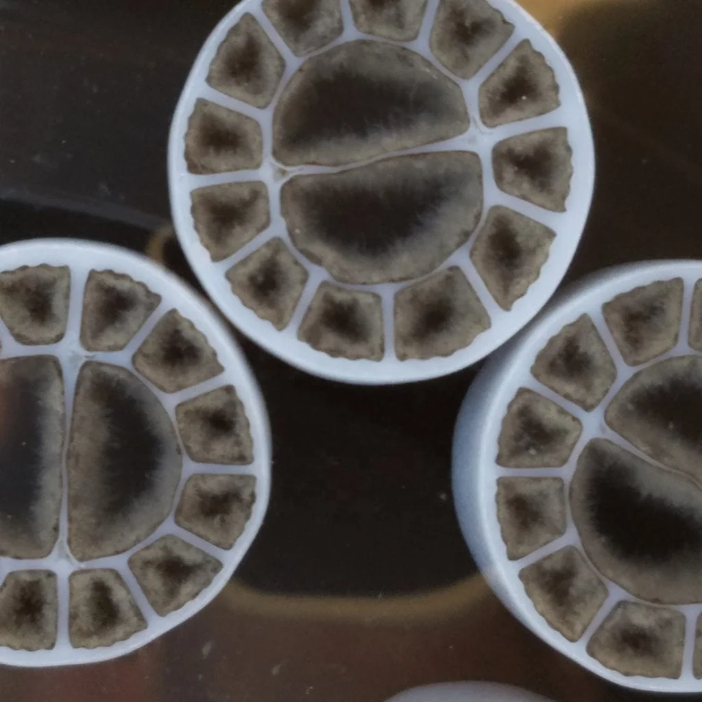 معالجة مياه الصرف الصحي MBBR Bio Filter Media Biofilm الناقل K1 K2 K3 تربية الأحياء المائية K3 Mbbr Media لمحطة معالجة مياه الصرف الصحي Mb