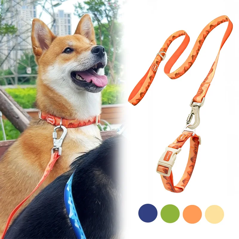 

Outdoor Dog Collar and Leash Set Nylon Adjustable Pet Collar Waterproof Lead Heavy Duty Soft for Small Medium Large Dogs Running