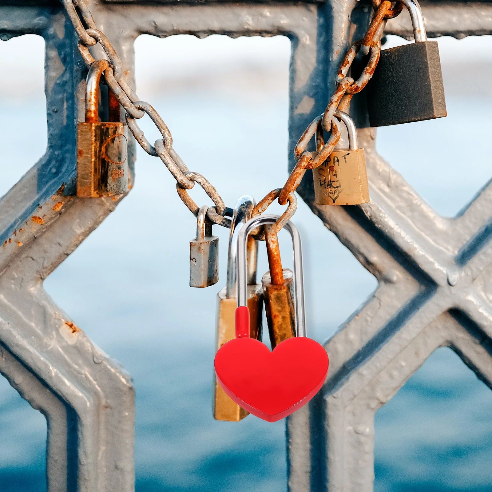 

Heart Shaped Wishing Lock Metal Decorative Padlock For Lovers Wedding Anniversary Travel Couple Symbol Wish Lock Lightweight