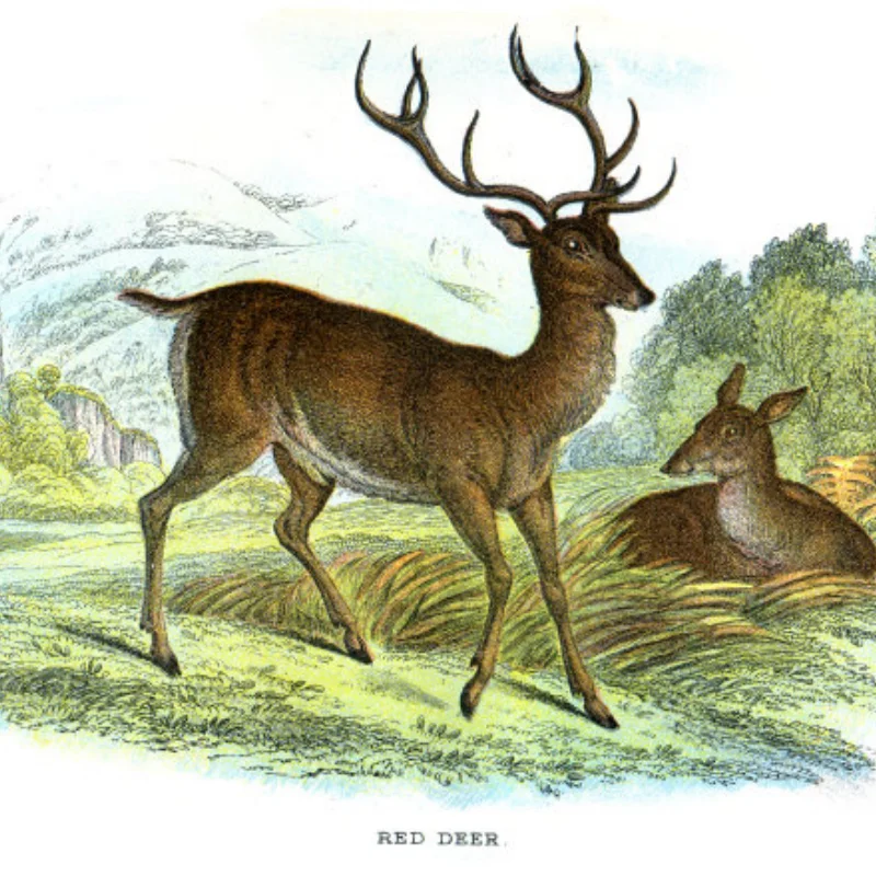 

Trim Flaps Water Pressure Plates Trim Tabs Upgrade Board Spray Strip for RC Boat Model DIY Parts