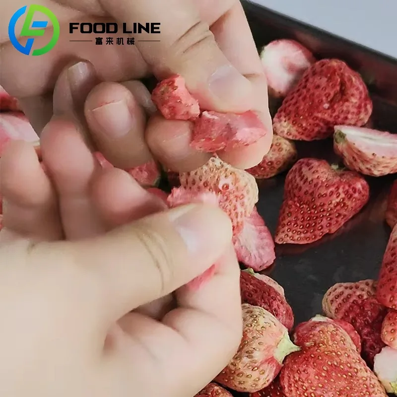 Piccola macchina per liofilizzare la casa Frutta liofilizzata Verdura Caffè Liofilizador Attrezzatura per liofilizzazione in vendita