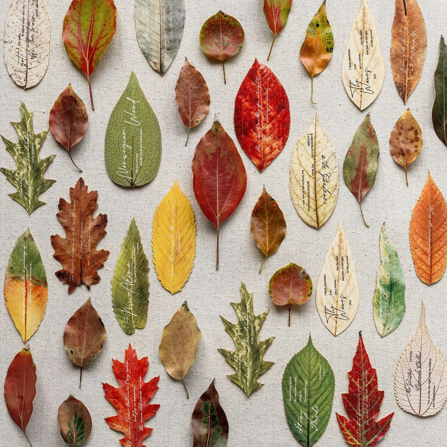 Morning Rain Artificial Leaf Bookmark High-Value Creative Handmade DIY Irregular Shaped Card Photo Prop Small Item Gift