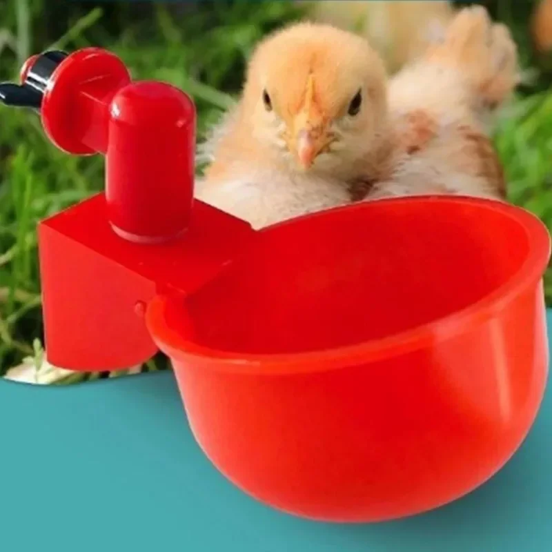 6Pcs Chicken Quail Hanging Water Cups Nipple Drinking Bowl Birds Water Bowl Drinker Cups for Backyard Automatic Poultry