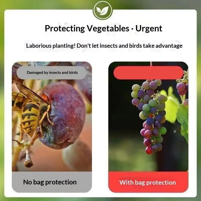 50Pcs Fruit-Safe Garden Protection Mesh Bags Anti Bird Insect Pest Barrier for Grape Strawberry Orchard Gardening Tools