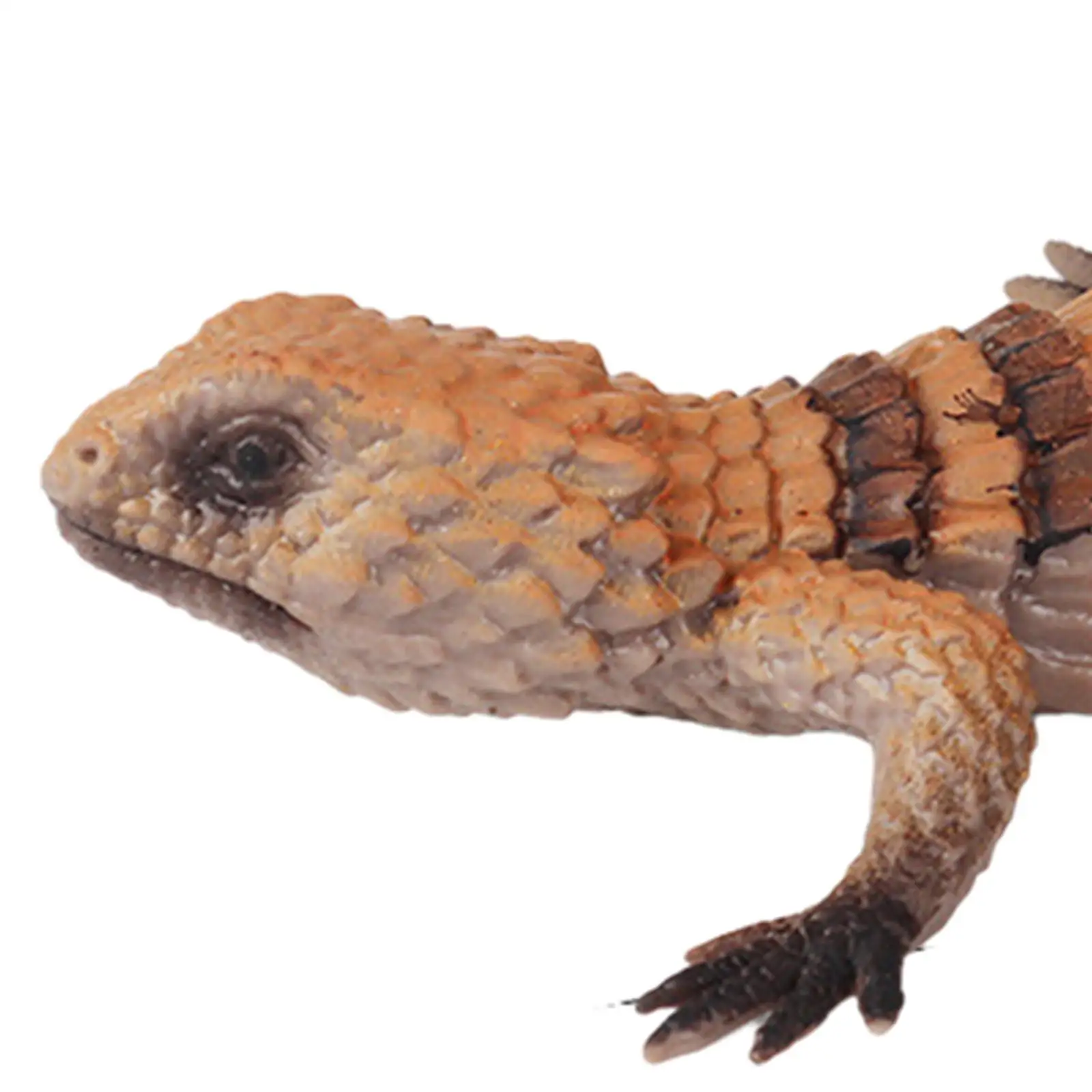 تماثيل حيوانات واقعية نموذج سحلية مصنوع يدويًا إكسسوارات ديكور منزلي ألعاب تعليمية لغرفة الأطفال