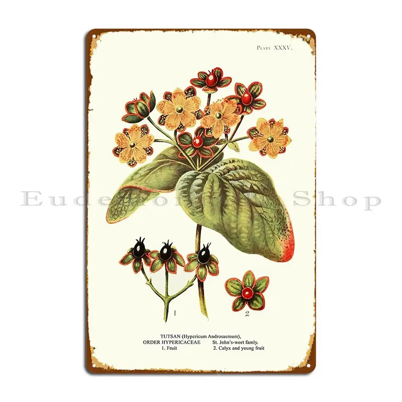 Tutsan St John S Wort Plant Life Botanical Illustration Metal Signs Printing Vintage Wall Mural Decoration Tin Sign Poster