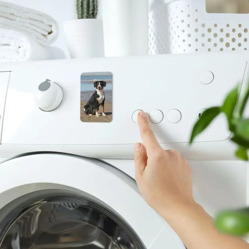 DIY personalized pet photo custom acrylic refrigerator magnet, souvenirs, beautiful memories Fridge Magnets