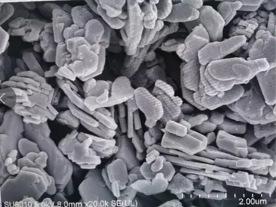 Multi-layered organ-shaped MO2C MXene