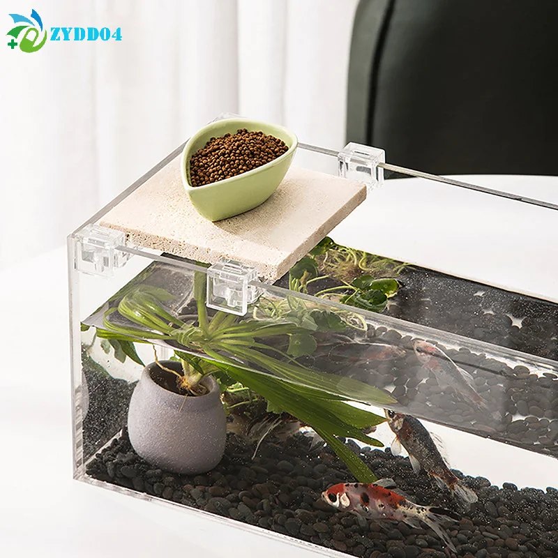 ● 4 szt. Klipsy akrylowe do ak – Aquarium Fish And Supplies recenzja i cena