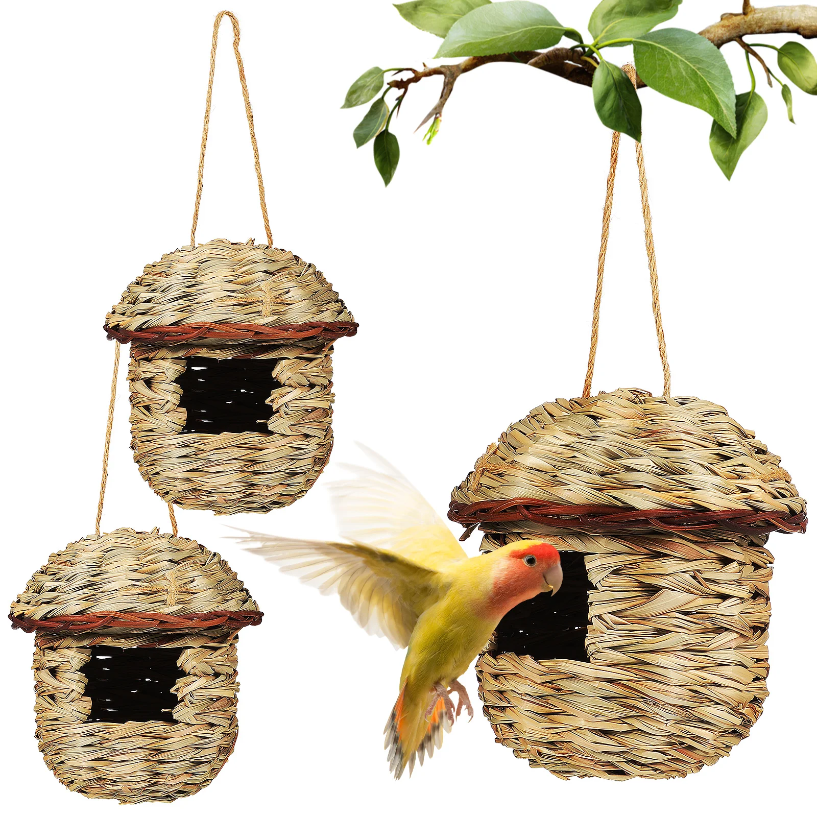 

3Pcs Hanging Bird Nest Straw Woven Rustic Bird House Outdoor Small Nesting Box Finch Parakeet Hummingbird Garden