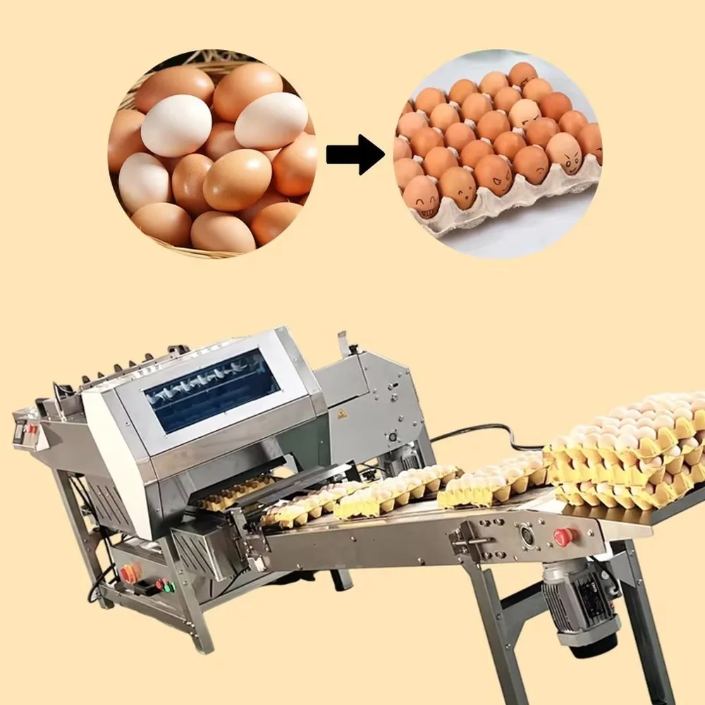 Automatic Egg Tray Packing Machine Adjustable Speed Farm Egg Packer for Chicken Duck Eggs Various Sizes