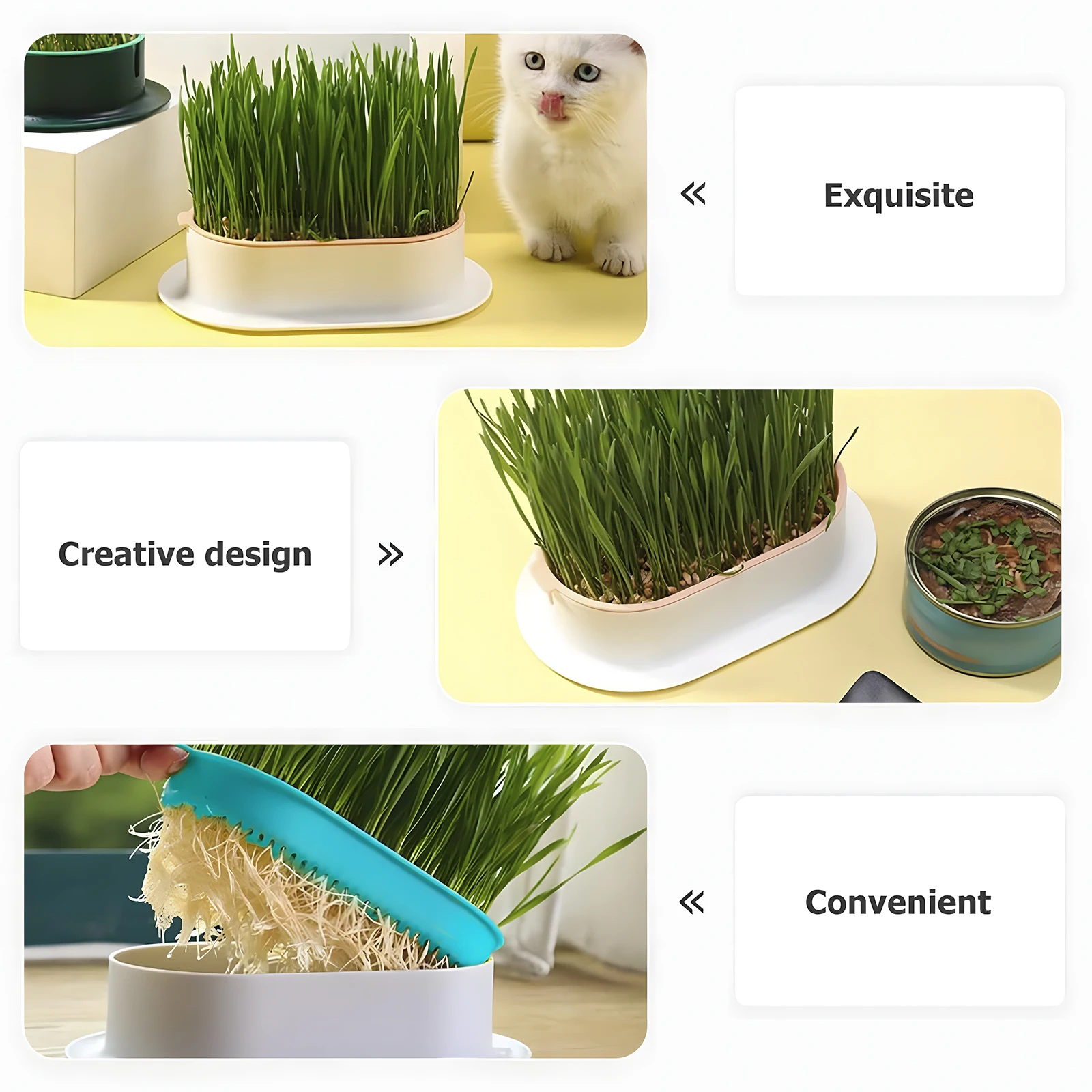 Cat Grass Planter,Cat Grass Kit, Cat Grass Growing Kit, Easy to Plant, No Seeds, Suitable for Indoor