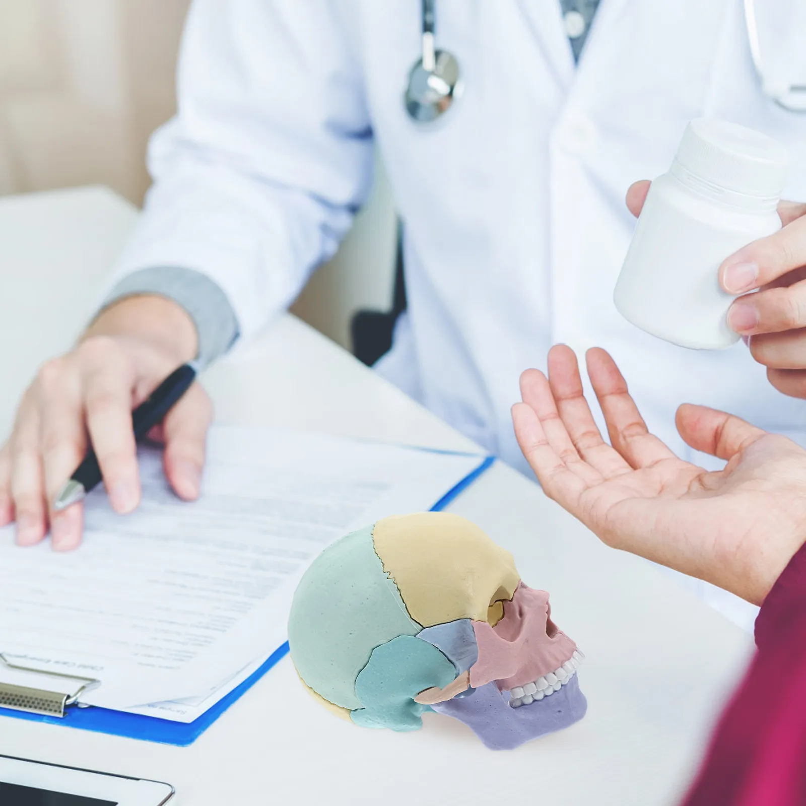 

Разборная цветная анатомическая модель человеческого черепа: учебное пособие для студентов и исследователей, для детального изучения анатомии