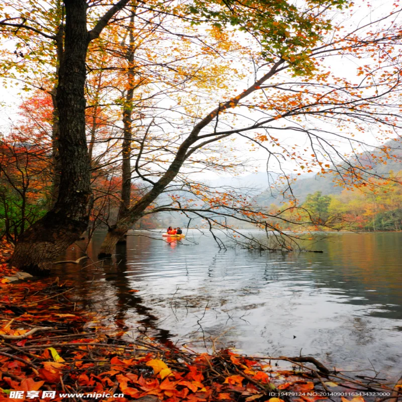 

Светодиодные фары Doxa Car Styling для Audi TT 2006-2014 с динамическим указателем поворота