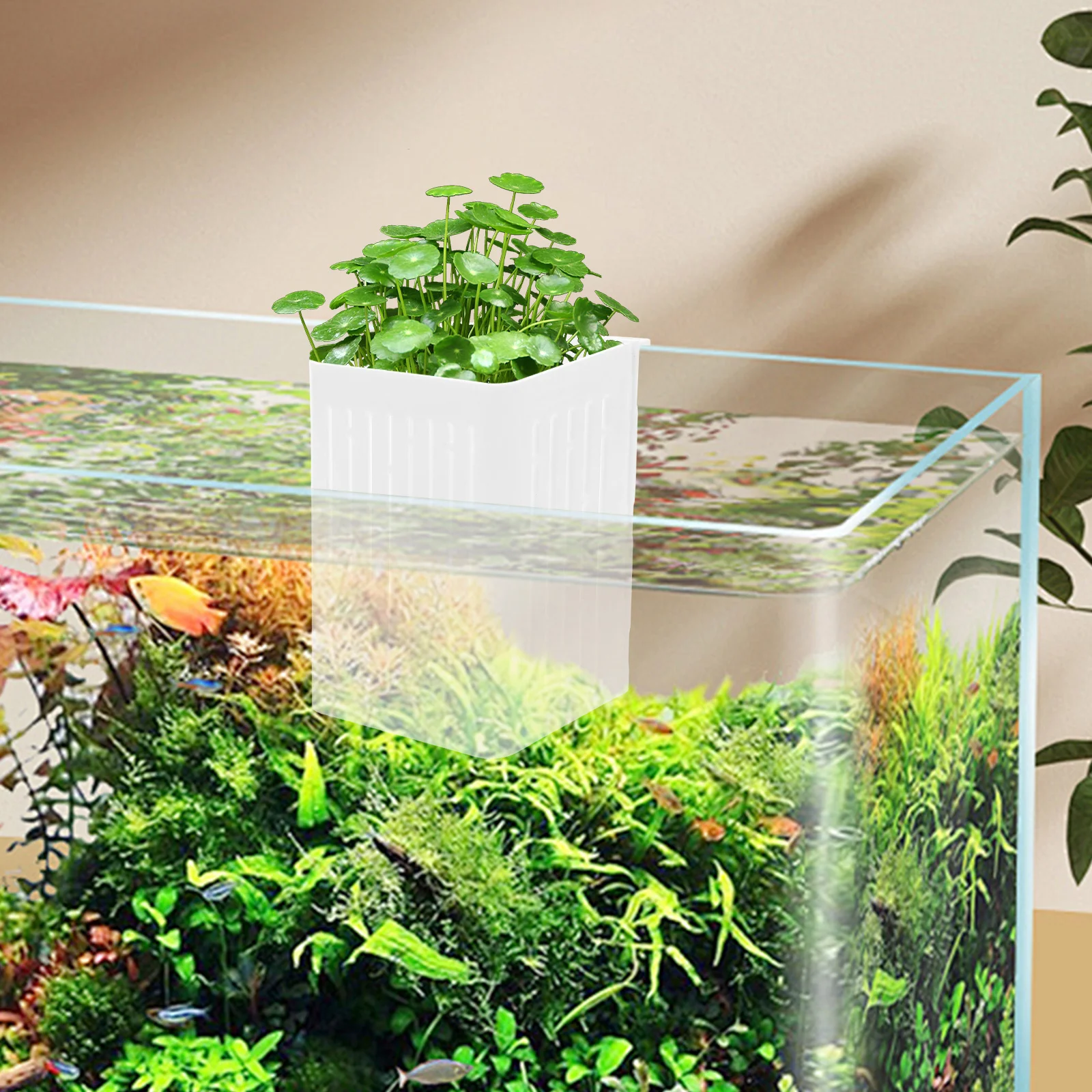 

3pcs Hydroponic Planting Basket For Aquarium Wall Mounted Hollow Design Space Saving Fish Tank Planter Aquatic Plants Holder