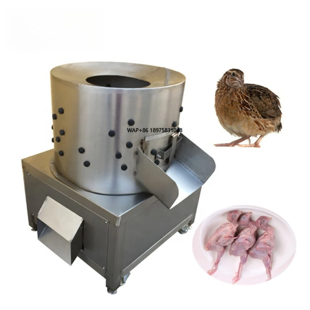 

Duck Goose Quail Butchering Equipment/ Rabbit Plucking Slaughtering Machine/poultry Hair Cleaning De-feathering Machine for Sale