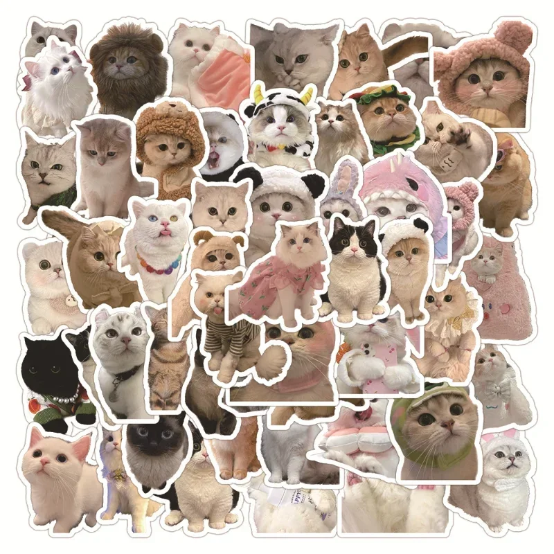 Pegatina de gato Kawaii de tiro Real, pegatina de gatito encantador, papelería DIY, pegatina decorativa para álbum de recortes, teléfono, suministros para estudiantes, 60 hojas