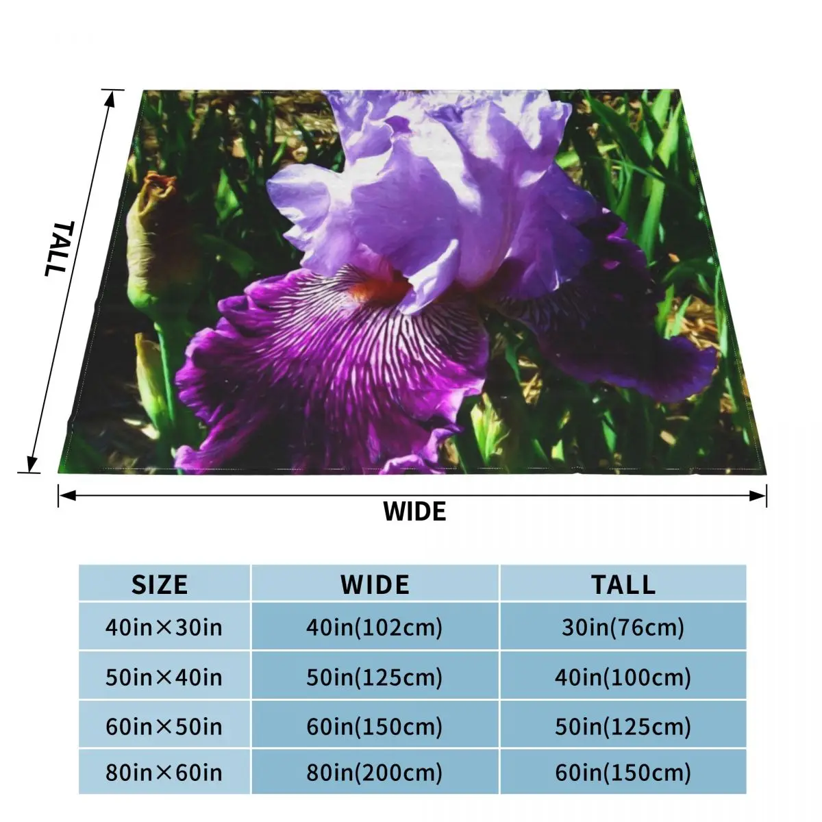 Painterly Blue & Purple Bearded Iris 4794 Throw Blanket Beach Tourist Blankets