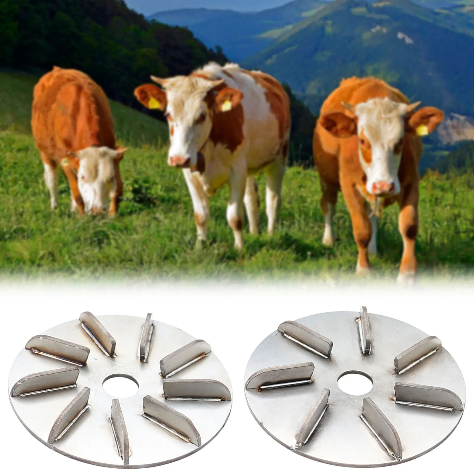 

Labor-Saving Pig Hair Remover Scraper Discs Pigs Hair Scraper for Livestock Dehairing 9 Geared Pig Hair Removal Tool