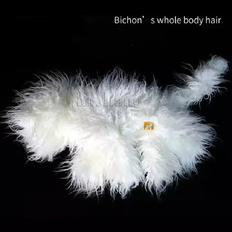 Imagem -04 - Dog Wig Modelo de Design Personalizado Peruca de Cão Usado para a Prática de Habilidades de Higiene Pele de Bichon em Branco sem Manequim Mr.jiang-bichon