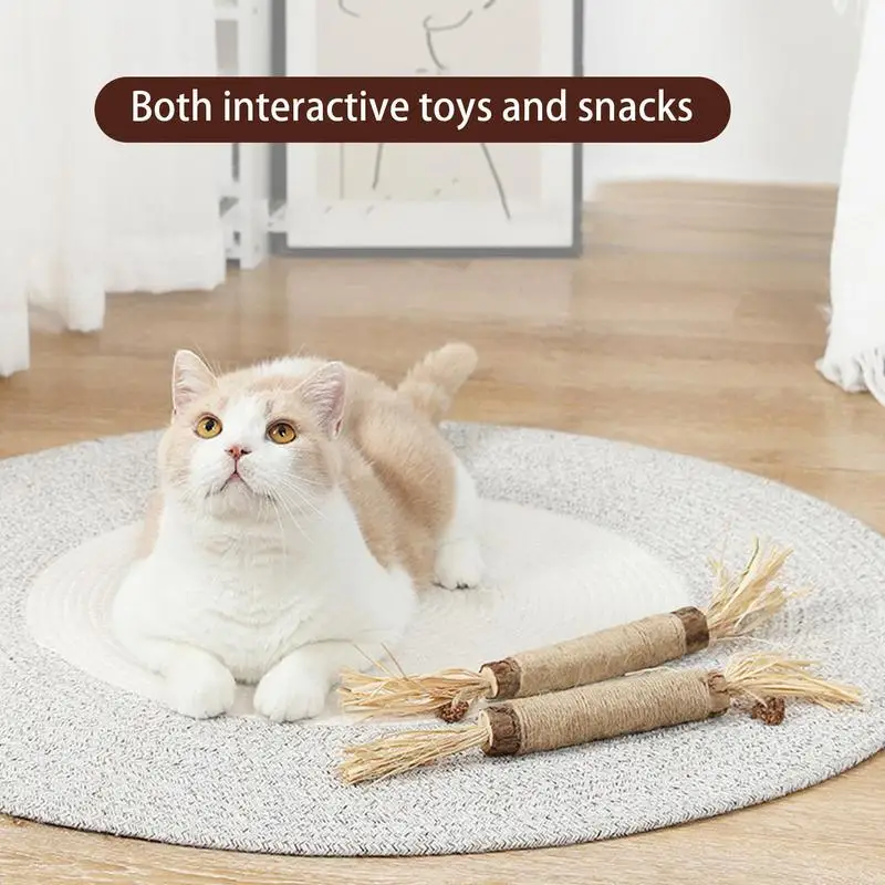 Cat Toys Silvervine Chew Stick Pet Snacks Sticks Natural Stuff With Catnip For Kitten Cats Cleaning Teeth Cat Accessories