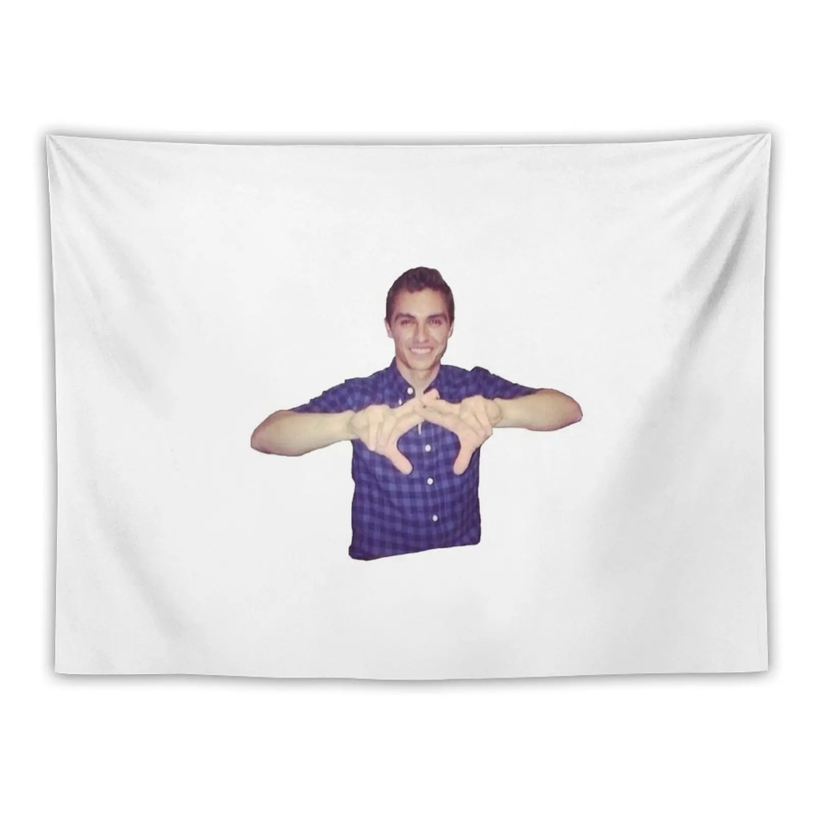 Dave Franco - Alpha Chi Tapestry Room Decorations Aesthetics Bedroom Decor Home Decorating Cute Room Things Tapestry