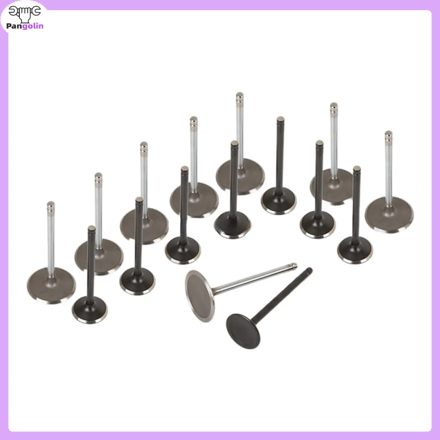 

1set Intake & Exhaust Valve Kit For 2007-2014 Cadillac Chevrolet GMC Sierra 6.0 6.2 OHV 2010-2014 Car Accessories