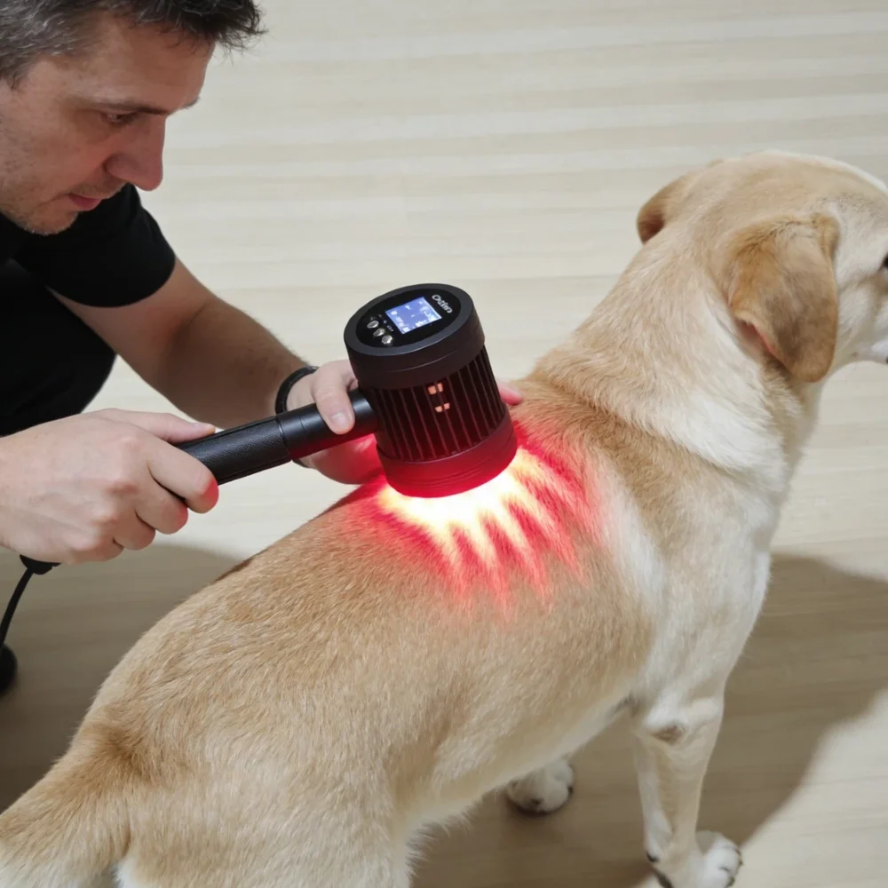 Clinical 25 Diodes Dual Wave Cold Laser Therapy Device for Humans Animals Home Healing Pain Relief Physiotherapy