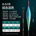H SJ18