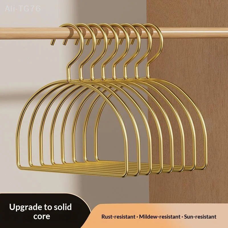 [P] 5PCS Gold Iron Half Round Scarf Hangers Pet Clothes Rack Storage Hanger For Pants Towel Tie,Closet Organizer For Adult Kids view 5