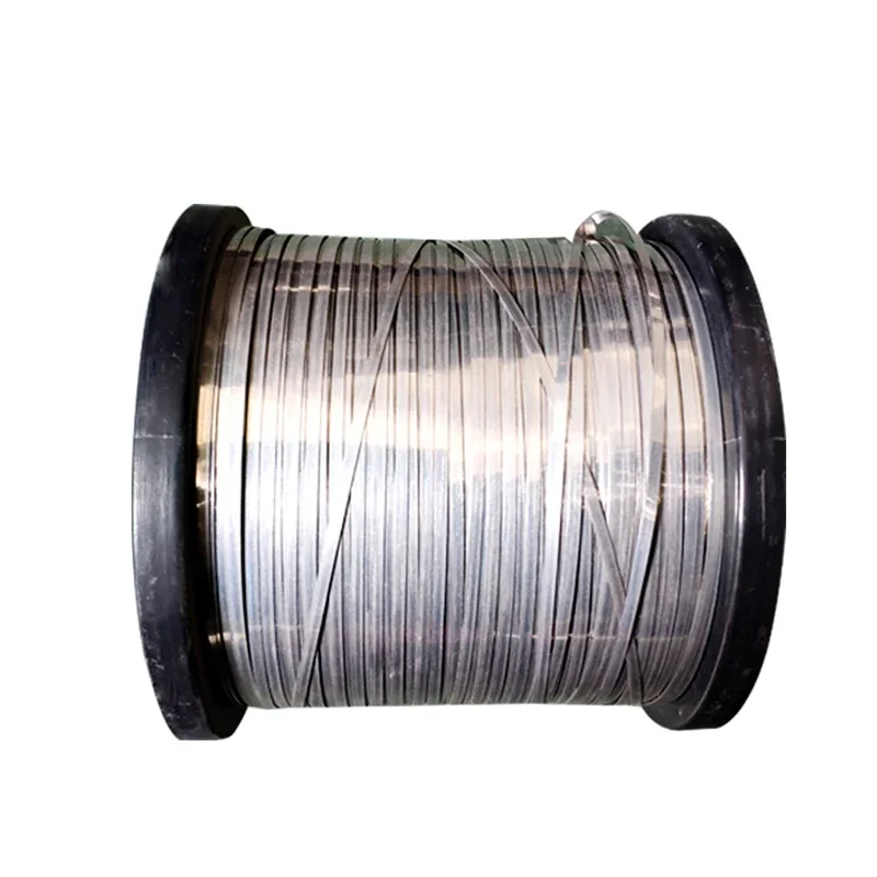 5M/Roll Nickel Chromium Ribbon Flat Wire Sealer Heating Wire Vacuum Machine Heating Strip For Sealing and Cutting