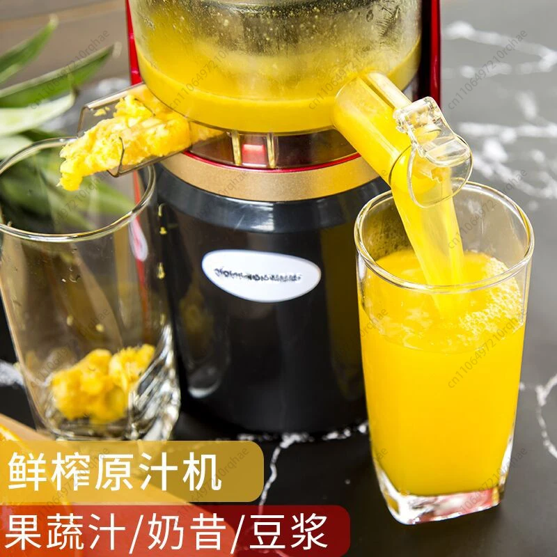 

Slow Masticating Juicer, Cold Press Technology for Maximum Nutrients, High Yield Automatic Fruit Vegetable Juicer